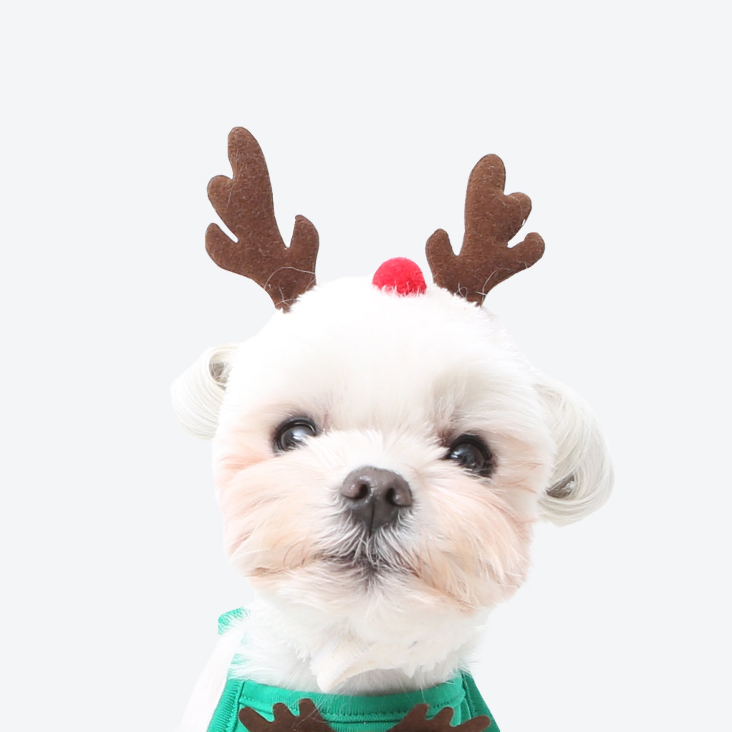 Christmas Cute and Funny Pet Costume to Keep Warm in Winter