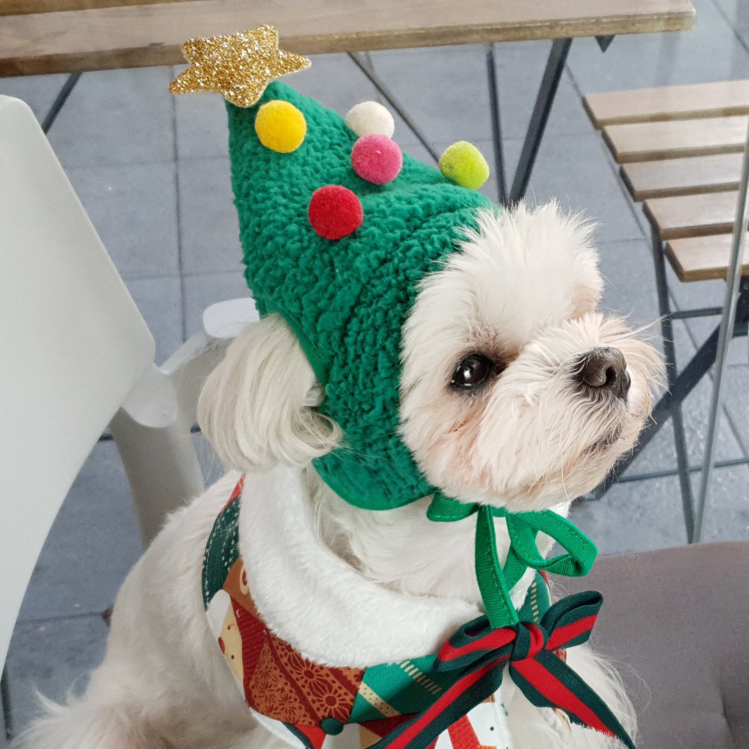 Christmas Cute and Funny Pet Costume to Keep Warm in Winter