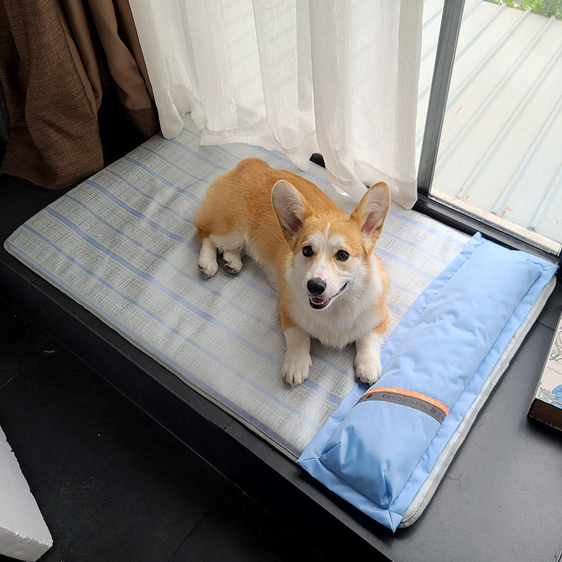 style: A, Size: XL - Dog Mat Sleeping With Pet Mat Summer Mat Anti Bite Mattress Cat Non Stick Hair Ice Mat Dog Mat