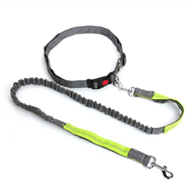 Traction rope dog leash