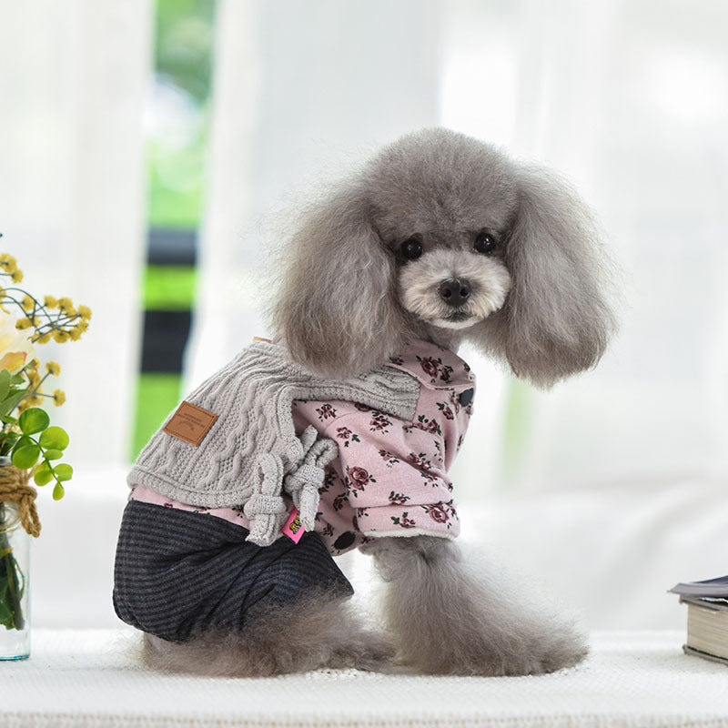 Teddy dog clothing in autumn and winter