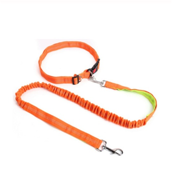 Traction rope dog leash