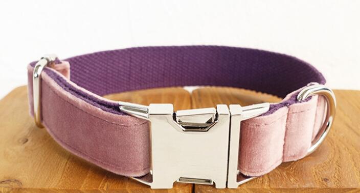 Pet Traction Collar Dog Collar