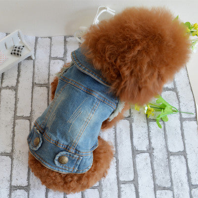 Beckham pet dog clothes Teddy VIP pet Bichon winter clothing retro jeans vest and grasps the grain character