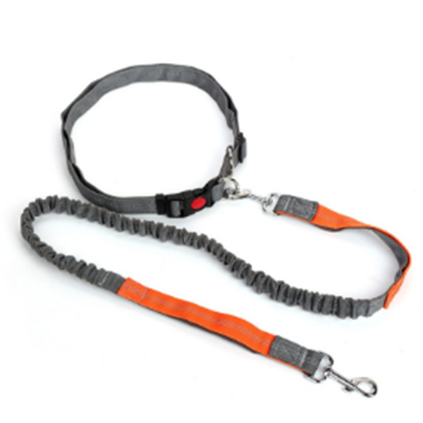 Traction rope dog leash