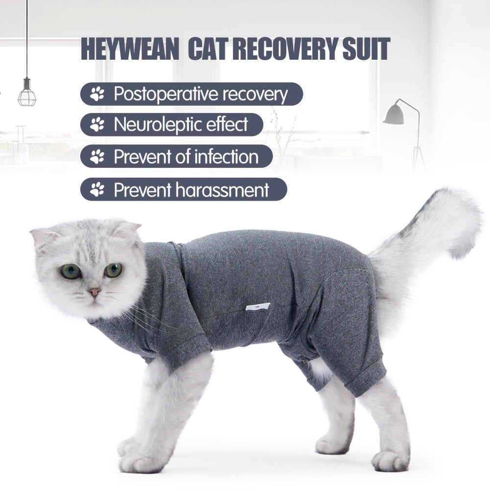 Pet Cat Shedding Suit Full Coverage Pet Recovery Bodysuit After Surgery Alternative Anxiety Calming Shirt gray XS