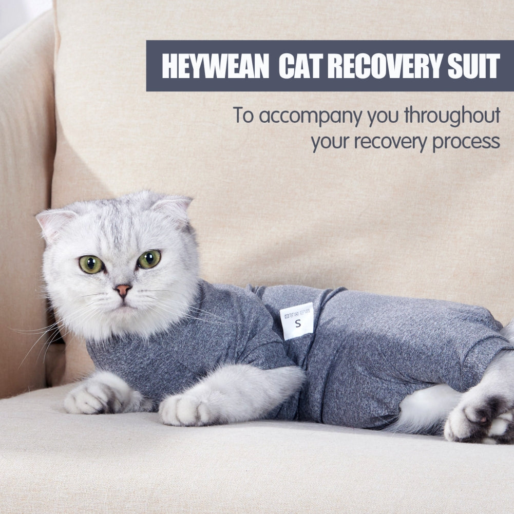 Pet Cat Shedding Suit Full Coverage Pet Recovery Bodysuit After Surgery Alternative Anxiety Calming Shirt gray XS