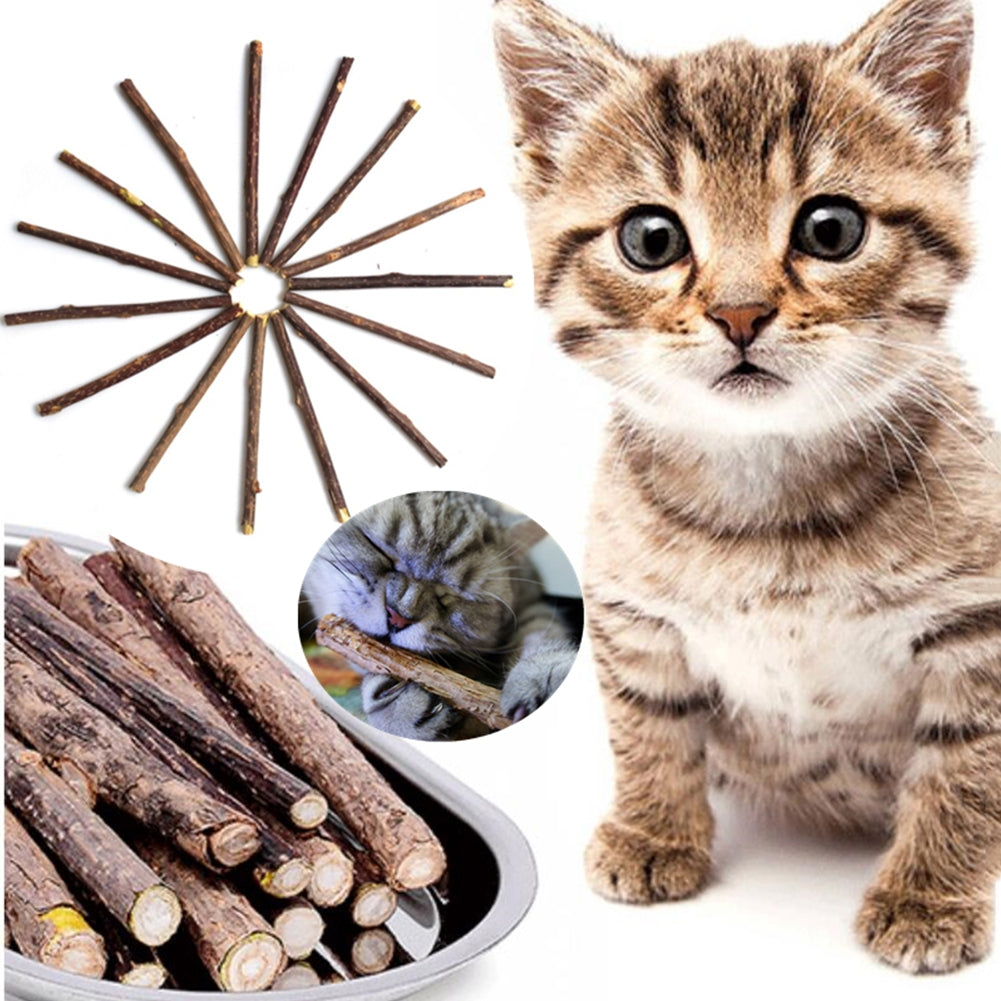 Cat Toys Catnip Chew Kitten Toys Wooden Stick Teething Molar Toys Suitable for All Ages Cats 15PCS