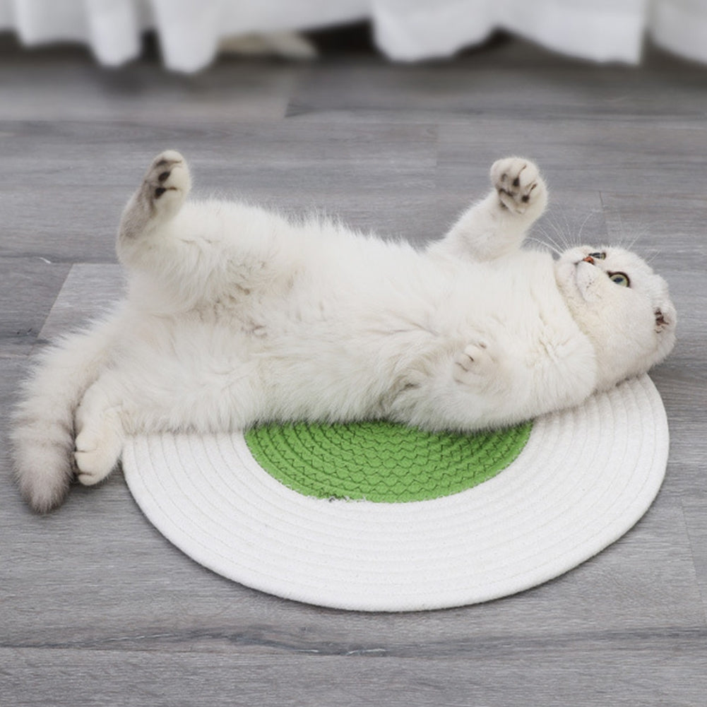 Pet Cat Round Scraper Mat Scratch-resistant Scratch Board Sleeping Blanket Sofa Furniture Protector green