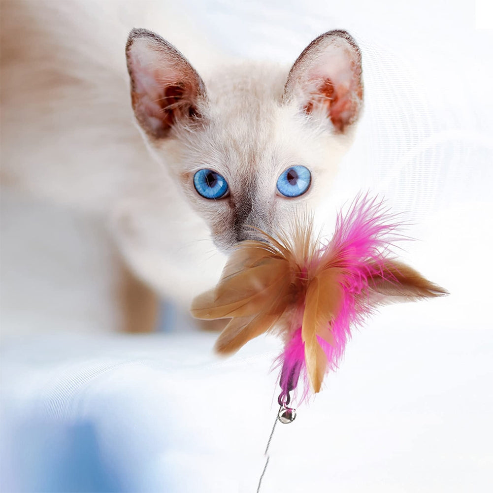 Cat Teaser Stick Pet Collar With Bells Feather Bite-resistant Feather Fishing Rod For Indoor Cats pink