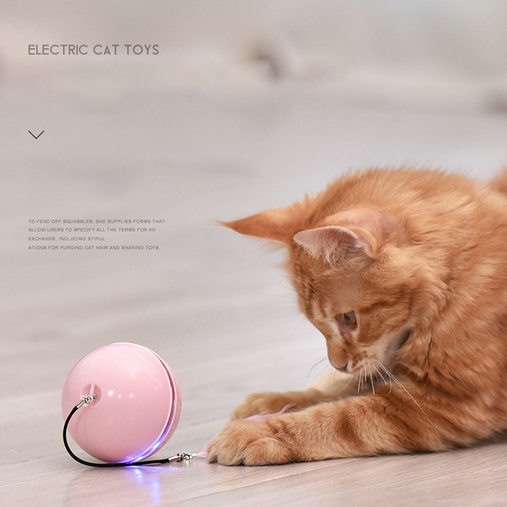 LED Teaser Ball with Replacement Head Electric Cat Toys for Pet gray