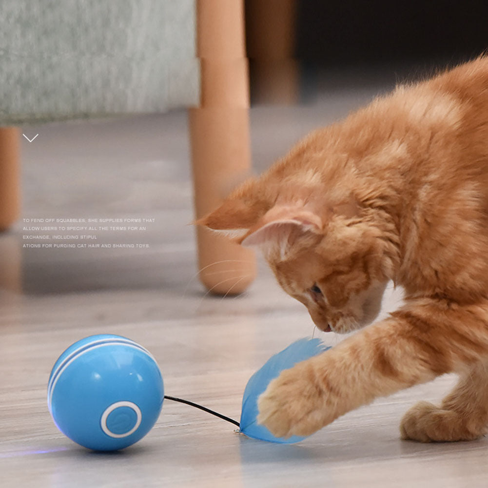 LED Teaser Ball with Replacement Head Electric Cat Toys for Pet white